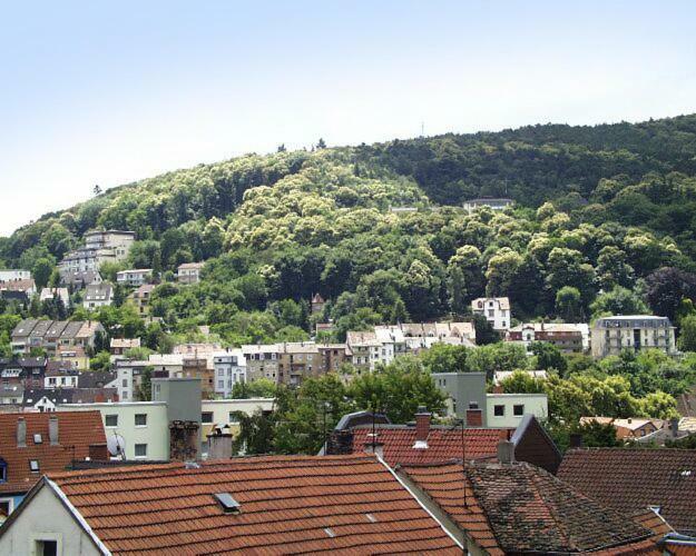 Ferienwohnung Appolonia Neustadt an der Weinstraße Dış mekan fotoğraf